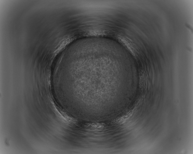 X0000097880443200803281227