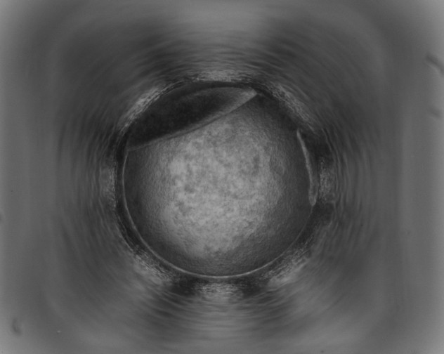 X0000097880444200803281227