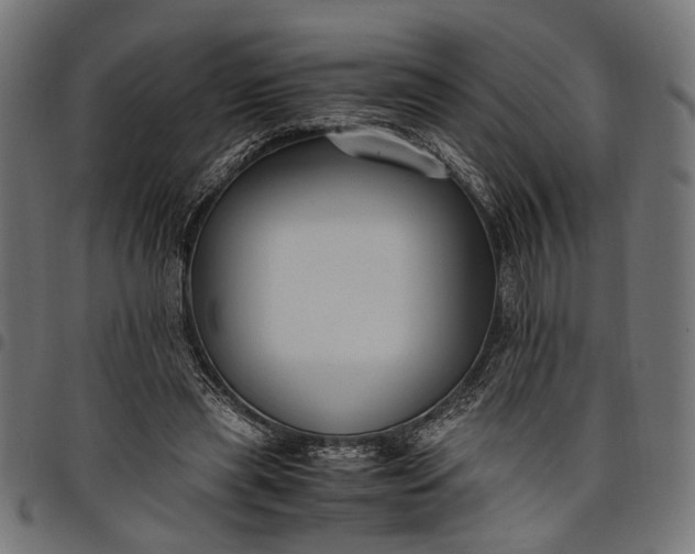 X0000097880445200803281227