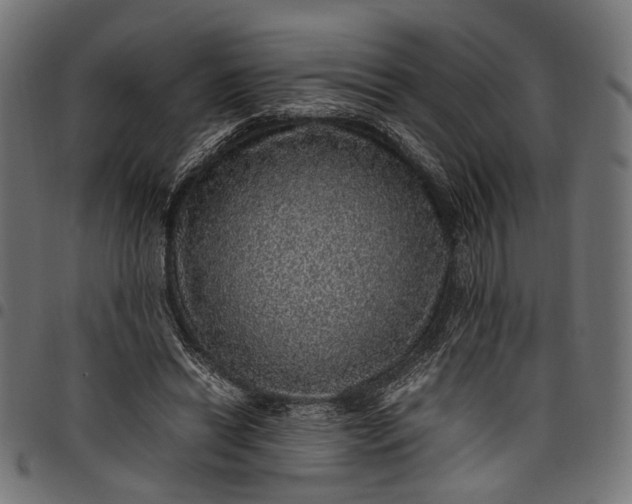 X0000097880446200803281227