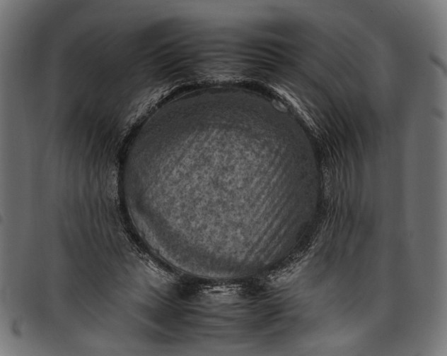 X0000097880447200803281227