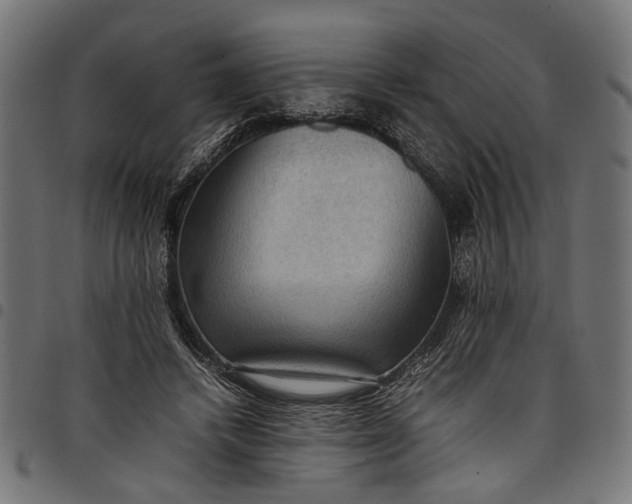 X0000097880448200803281227