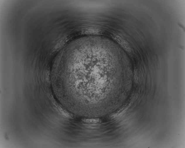 X0000097880449200803281227