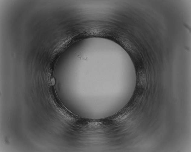 X0000097880450200803281227