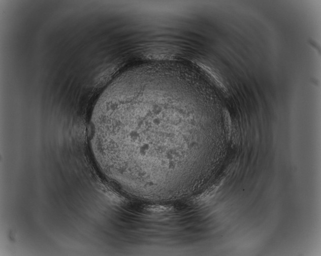 X0000097880453200803281227