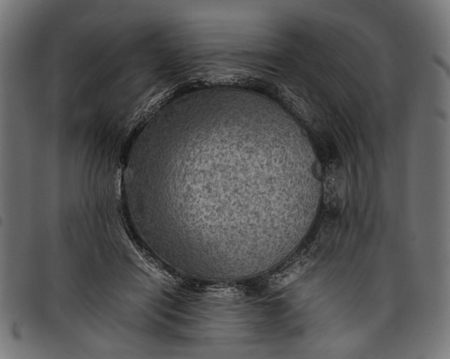 X0000097880454200803281227