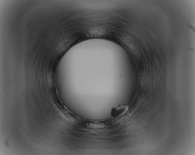 X0000097880455200803281227