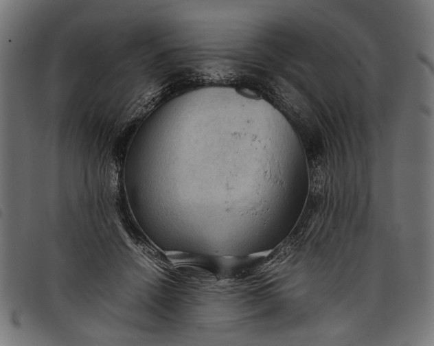 X0000097880456200803281227