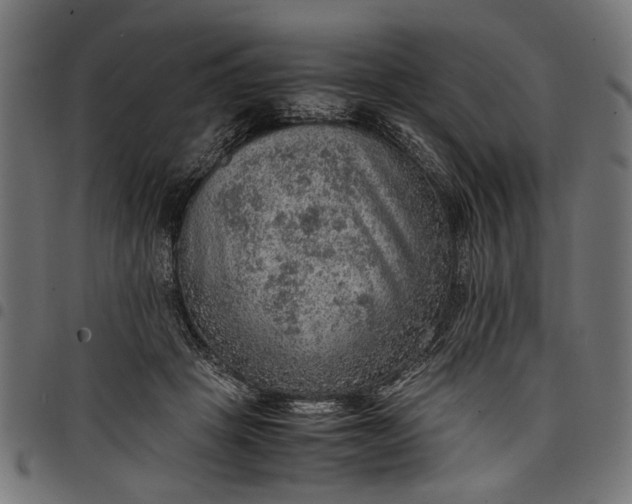 X0000097880457200803281227