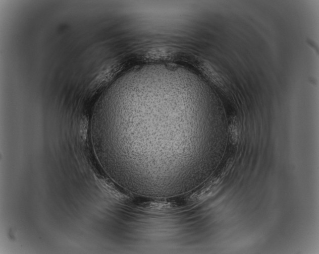 X0000097880458200803281227