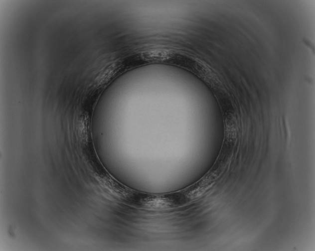 X0000097880460200803281227