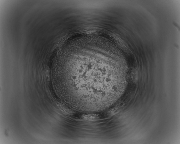 X0000097880461200803281227