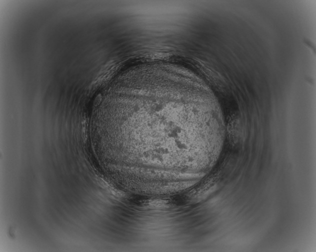 X0000097880462200803281227