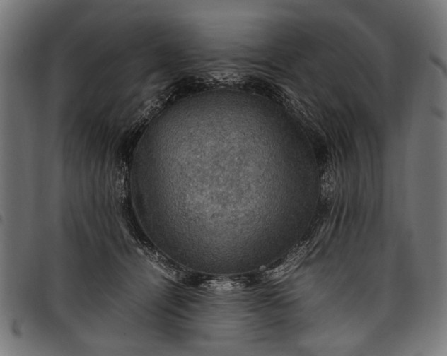 X0000097880464200803281227