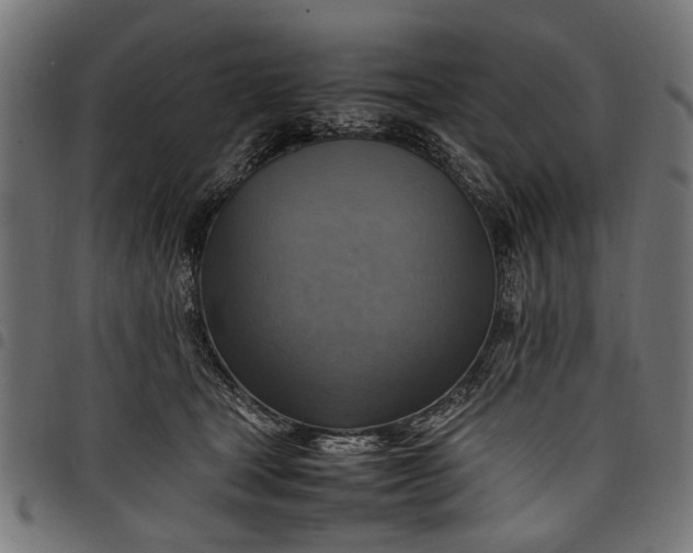 X0000097880465200803281227