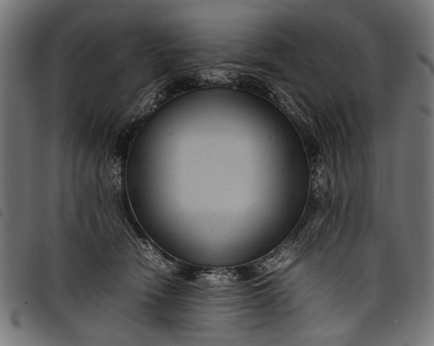 X0000097880466200803281227