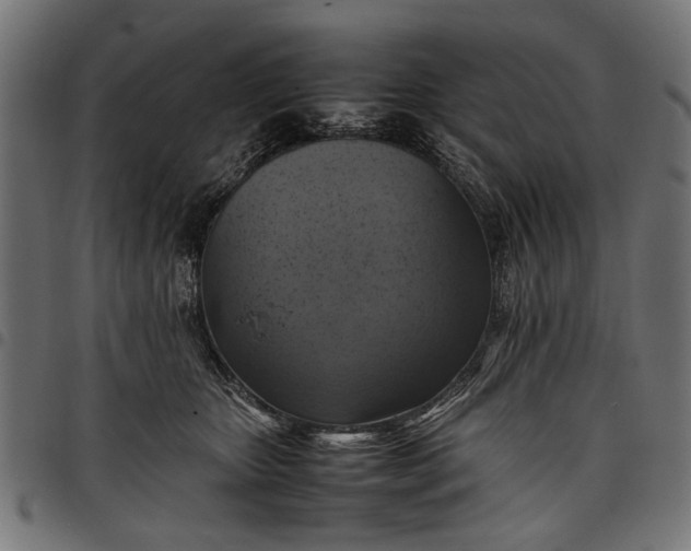 X0000097880467200803281227