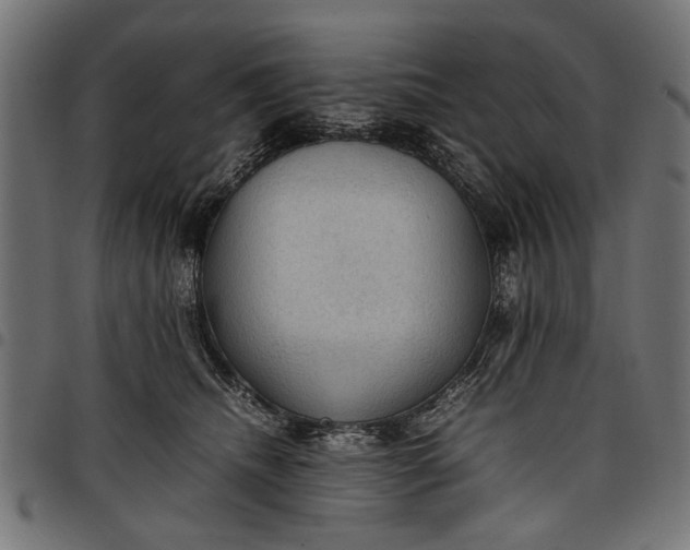 X0000097880468200803281227