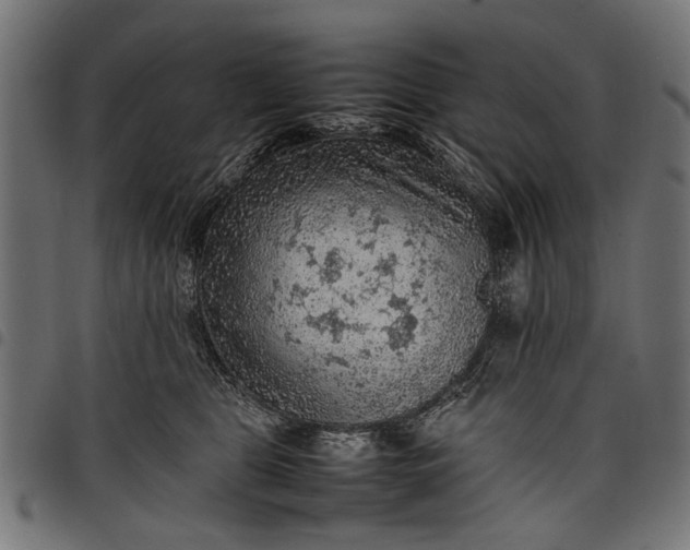 X0000097880469200803281227