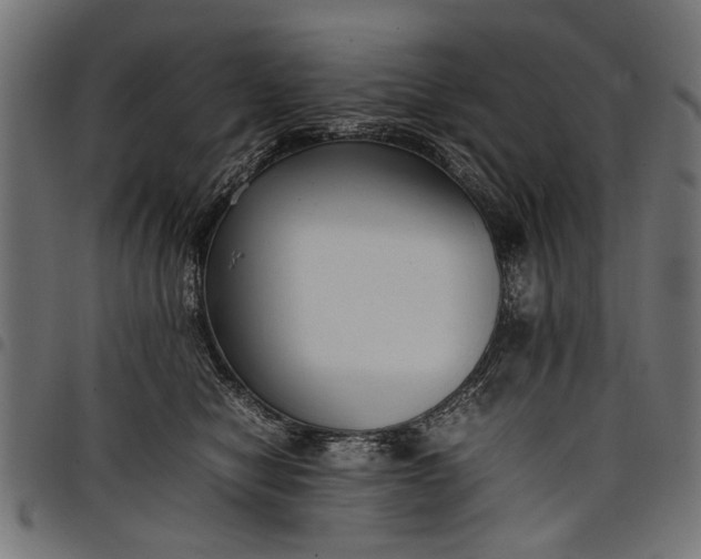 X0000097880470200803281227