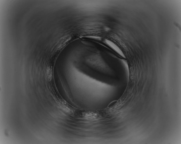 X0000097880471200803281227