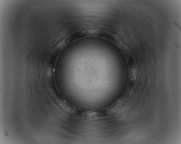 X0000097880472200803281227