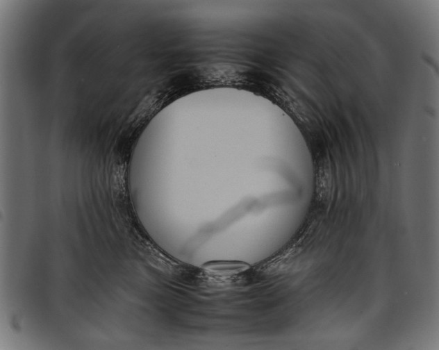 X0000097880473200803281227