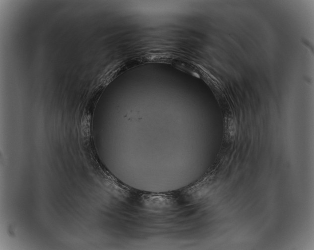 X0000097880475200803281227