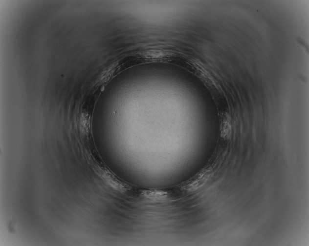 X0000097880476200803281227