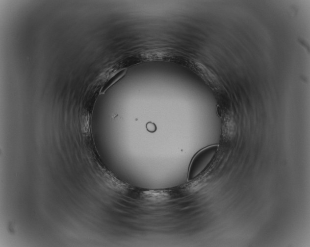 X0000097880477200803281227