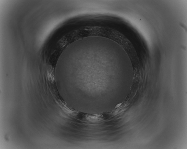 X0000097880479200803281228