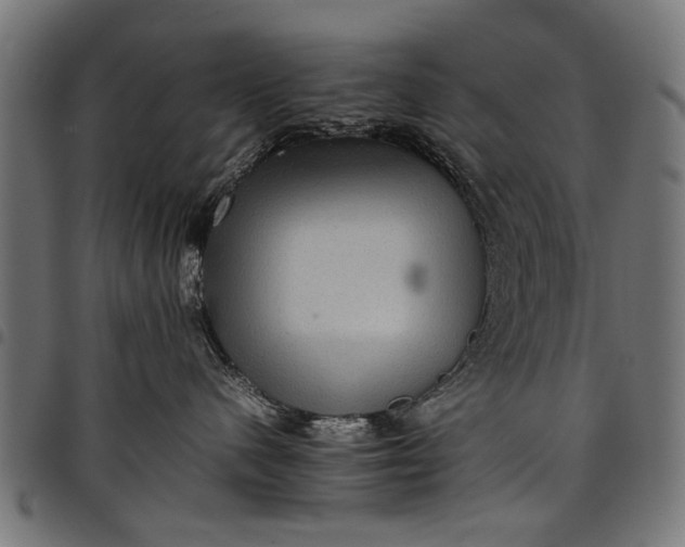 X0000097880480200803281228