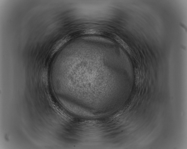 X0000097880482200803281227