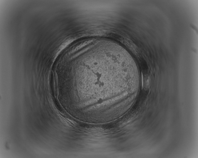 X0000097880483200803281227