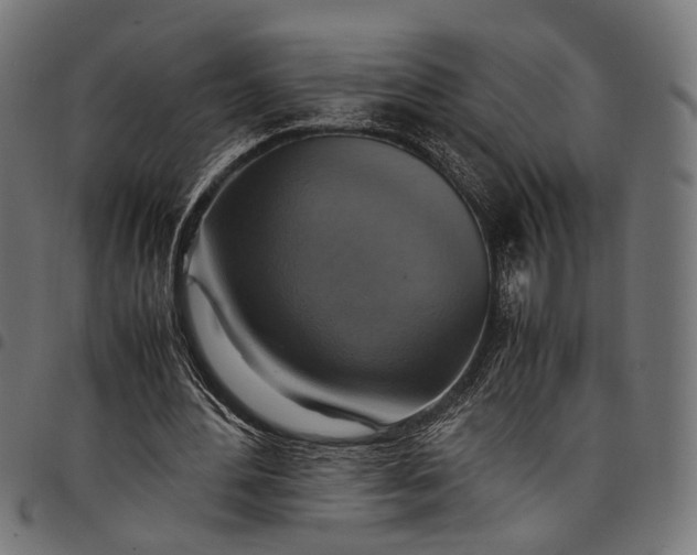 X0000097880484200803281227