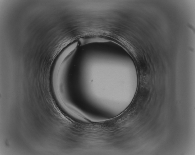 X0000097880485200803281227