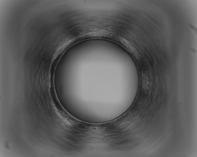 X0000097880486200803281227