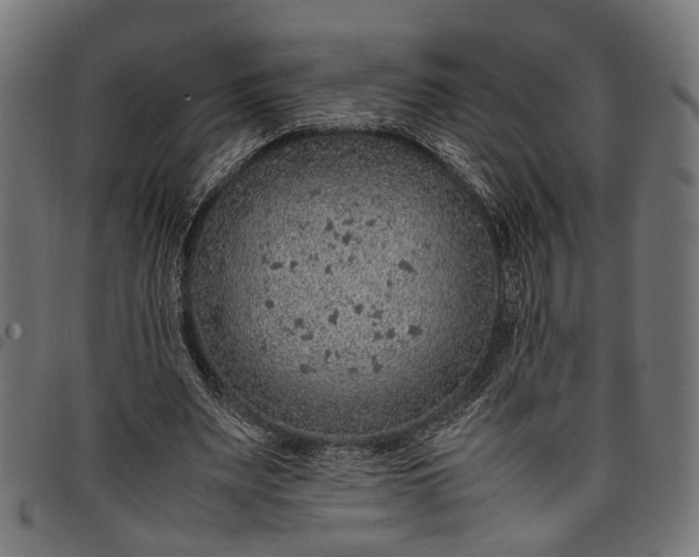 X0000097880487200803281227