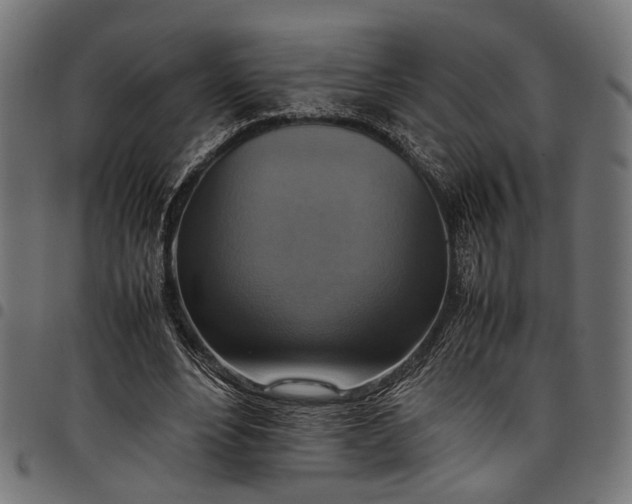 X0000097880488200803281227