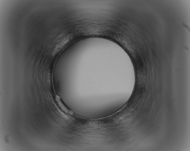 X0000097880489200803281227