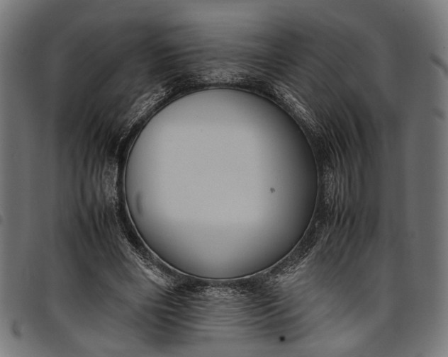 X0000097880490200803281227