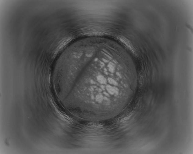 X0000097880491200803281227