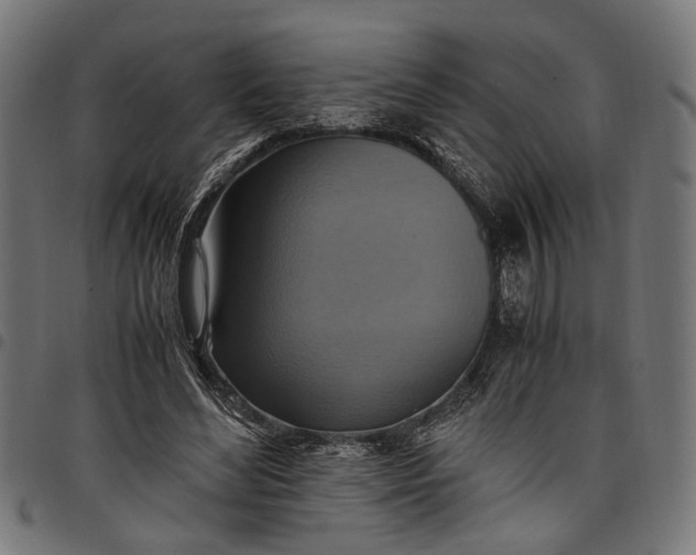 X0000097880492200803281227