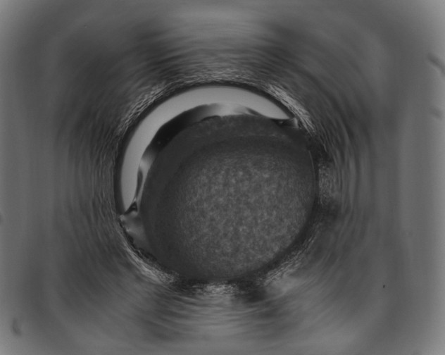 X0000097880493200803281227