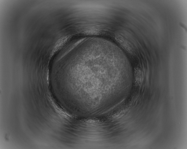 X0000097880494200803281227