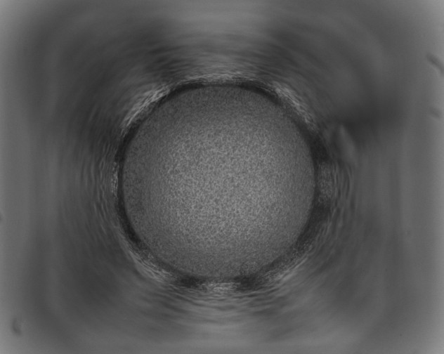 X0000097880495200803281227