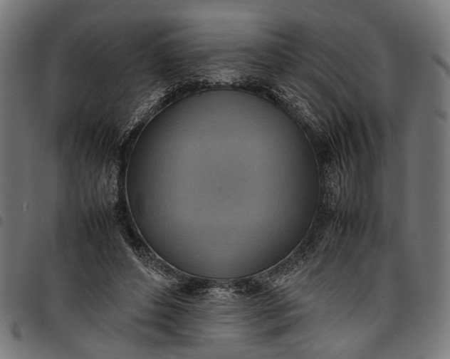 X0000097880496200803281227