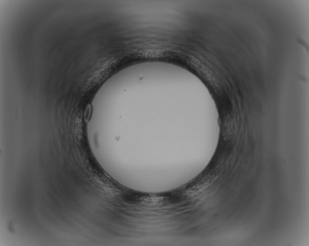 X0000097880497200803281227