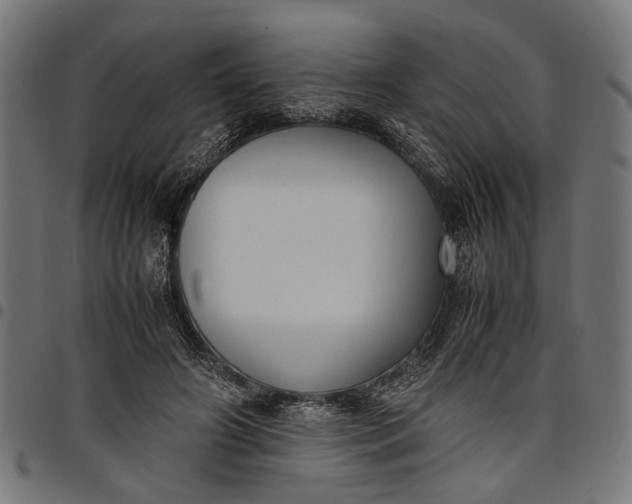 X0000097880498200803281227