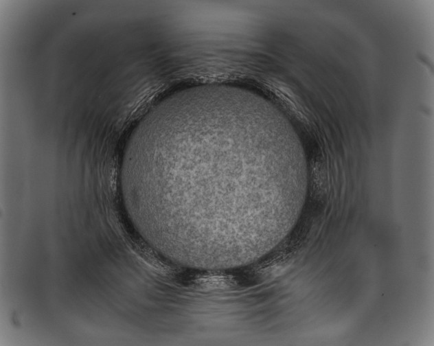 X0000097880499200803281227